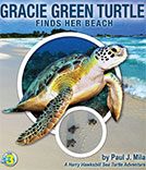 Gracie Green Turtle Finds Her Beach