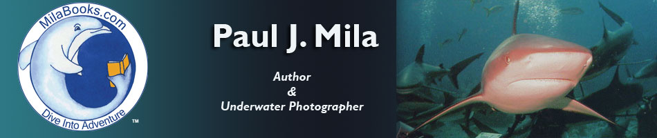 Paul Mila Books