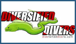 Diversified Divers